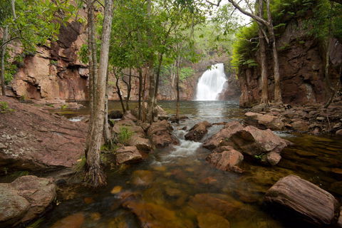 Florence Falls - Accommodation Search 0