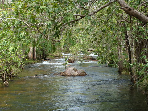 Florence Creek Walk - Accommodation Search 0