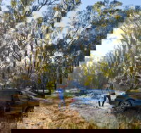 Forest Drive Murrumbidgee Valley National Park - Accommodation Search