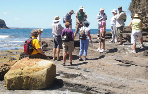 Gondwana Coast Fossil Walk - Accommodation Search 0