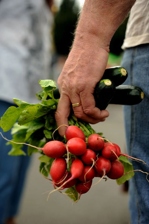 Harvest Launceston Community Farmers' Market - Accommodation Search 1
