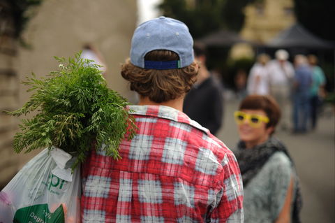 Harvest Launceston Community Farmers' Market - Accommodation Search 2
