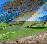 Historic Dry Stone Walls Kiama - Accommodation Search