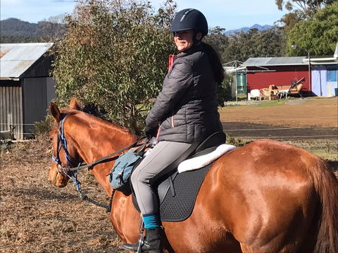 Horse Riding Tasmania - Accommodation Search 1