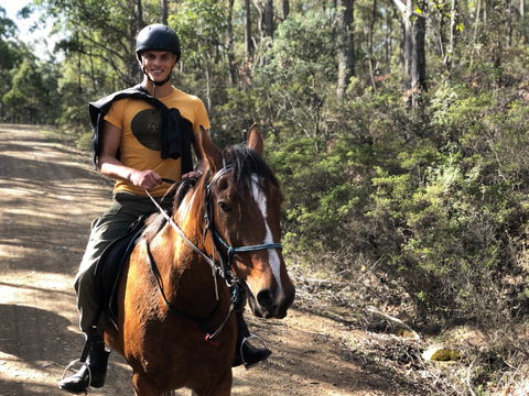 Horse Riding Tasmania - Accommodation Search 2