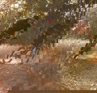 Kholo Gardens Trails - Accommodation Search