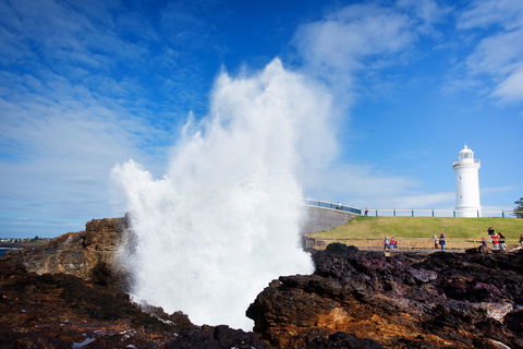 Kiama Blowhole - Accommodation Search 0
