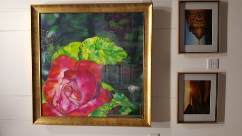 Macleay Valley Community Art Gallery - Accommodation Search 0