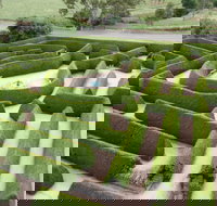 Mintaro Maze
