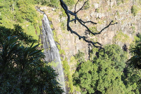 Morans Falls Track, Lamington National Park - Accommodation Search 0