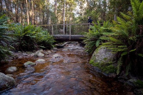O'Neills Creek Picnic Reserve - Accommodation Search 0