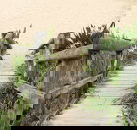Pebbly Beach to Snake Bay walking track - Accommodation Search