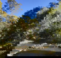 Pipers River Board Walk - Accommodation Search