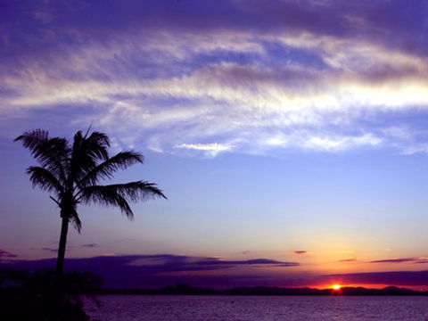 Quoin Island Retreat And Turtle Rehabilitation Centre - Accommodation Search 0