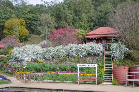 Spring Bluff Railway Station - Accommodation Search 1