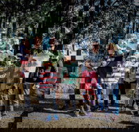 State Forests of the Watagan Mountains - Accommodation Search