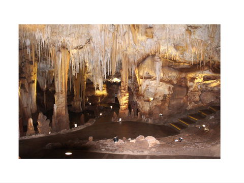 Tantanoola Caves - Accommodation Search 1