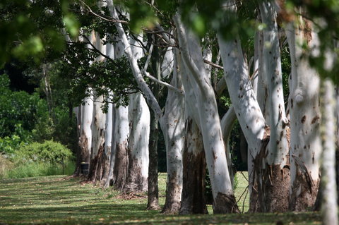 Teven Valley Golf Course - Accommodation Search 1