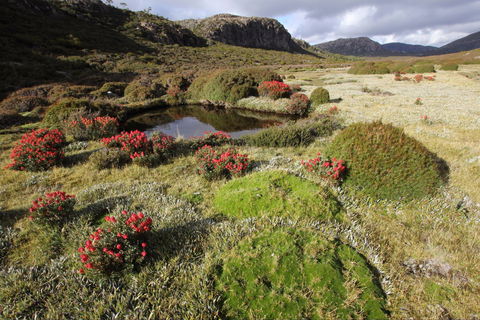 Walls Of Jerusalem National Park - Accommodation Search 1