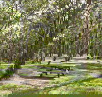 Wollomombi Gorge and Falls Picnic Area - Accommodation Search