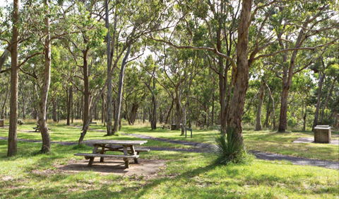 Wollomombi Gorge And Falls Picnic Area - Accommodation Search 0