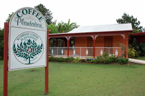 Wombah Coffee Plantation - Accommodation Search 0