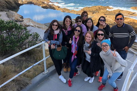 Sapphire Coast Highlights Tour (private Tour From Port Of Eden) - Accommodation Search 5