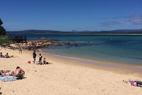 Sapphire Coast Highlights Tour (private Tour From Port Of Eden) - Accommodation Search 1