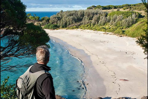 Sapphire Coast Highlights Tour (private Tour From Port Of Eden) - Accommodation Search 14