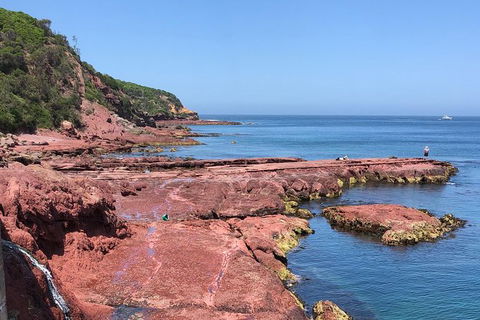 Sapphire Coast Highlights Tour (private Tour From Port Of Eden) - Accommodation Search 7