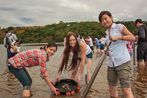 Catch A Crab Tour With Optional Seafood Lunch - Accommodation Search 6