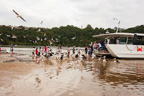 Catch A Crab Tour With Optional Seafood Lunch - Accommodation Search 1