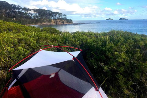 Batemans Bay Overnight Kayak Camping Tour - All Inclusive - Accommodation Search 0