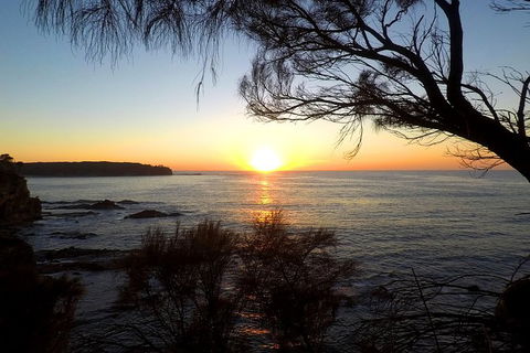 Batemans Bay Overnight Kayak Camping Tour - All Inclusive - Accommodation Search 1