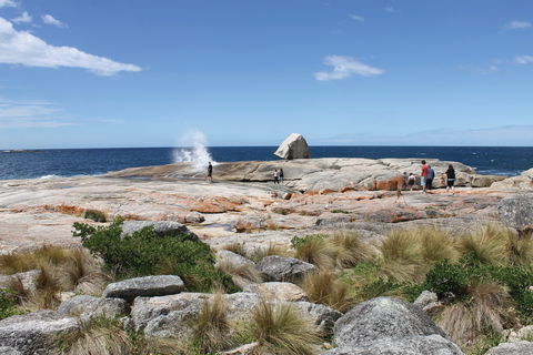 Bicheno Blowhole - Accommodation Search 1