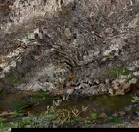 Brisbane Ranges National Park - Accommodation Search