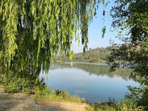 Eildon Pondage Walk - Accommodation Search 1
