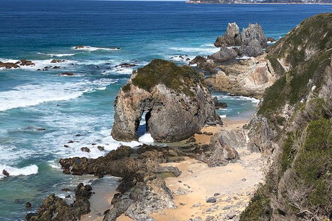 Narooma And Tilba Valley Private Tour - Accommodation Search 8