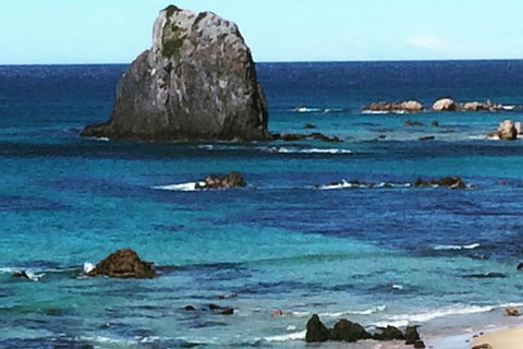 Narooma And Tilba Valley Private Tour - Accommodation Search 9
