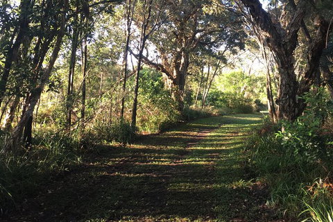 Coffs Harbour To Sawtell Bike Ride - Accommodation Search 7