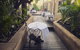 Darlinghurst Dining Walk - thumb 4