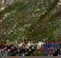 Breakfast Bushwalk Tour in Captain Cook's Monument - Accommodation Search