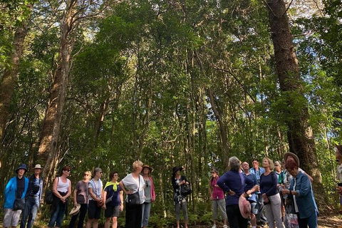 Breakfast Bushwalk Tour In Captain Cook\'s Monument - Accommodation Search 0