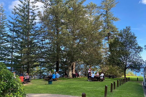 Breakfast Bushwalk Tour In Captain Cook\'s Monument - Accommodation Search 1