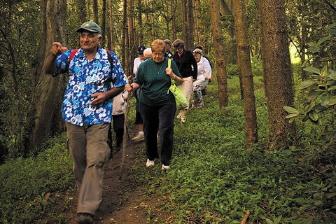 Breakfast Bushwalk Tour In Captain Cook\'s Monument - Accommodation Search 4