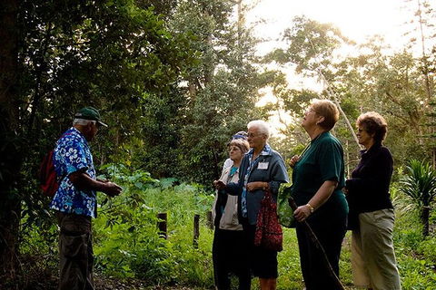Breakfast Bushwalk Tour In Captain Cook\'s Monument - Accommodation Search 3