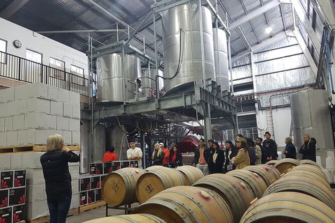 Hunter Valley Small Group Wine, Gin, Cheese & Chocolate Tour - Accommodation Search 6