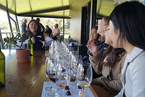 Hunter Valley Small Group Wine, Gin, Cheese & Chocolate Tour - Accommodation Search 2