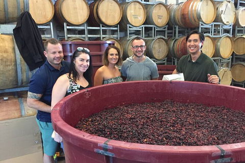 Hunter Valley Small Group Wine, Gin, Cheese & Chocolate Tour - Accommodation Search 0