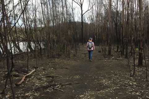 Fishermans Paradise Eco-walk - Accommodation Search 5